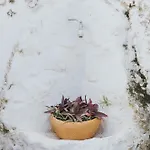 Сasa de vacaciones Casa De La Cueva