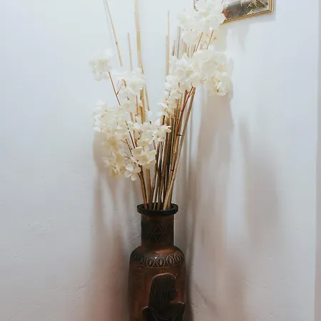 Casa De La Cueva * Figueroles